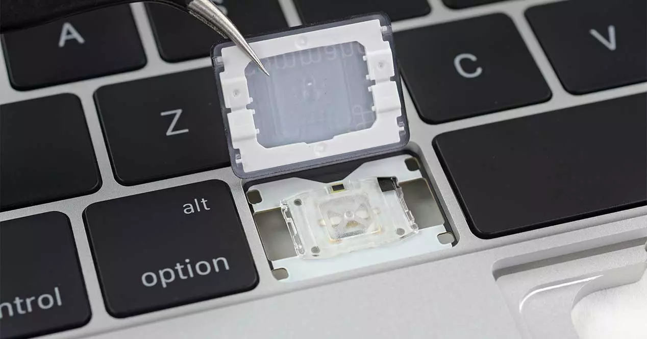 Control de membrana del teclado de Apple