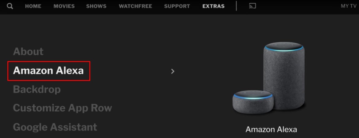 Opción Amazon Alexa